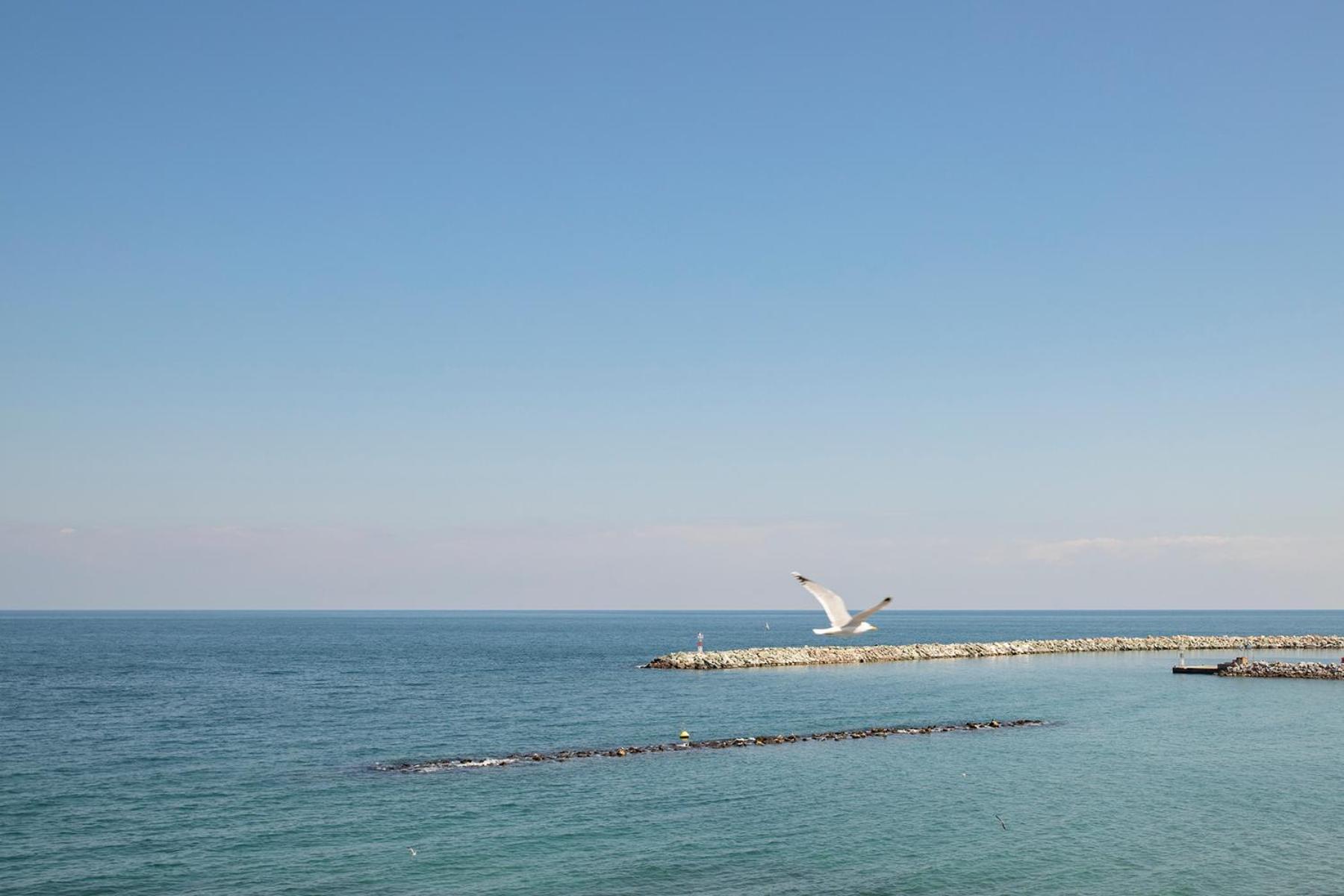 Zefyros Sea View Hotel Platamon Dış mekan fotoğraf