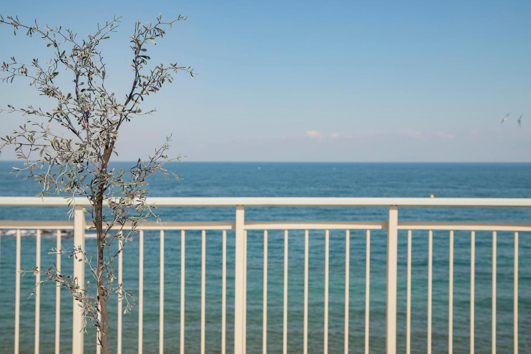 Zefyros Sea View Hotel Platamon Dış mekan fotoğraf